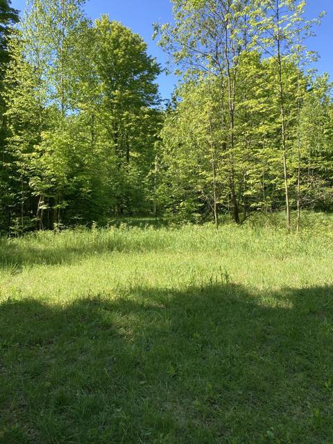 1846 Mastej Drive Grayling Mi 49738 Dr, Grayling, MI 49738 photo 15