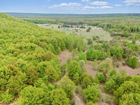 442 Alexander Rd, Vanderbilt, MI 49795 photo 67