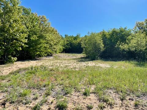 442 Alexander Rd, Vanderbilt, MI 49795 photo 65
