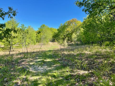 442 Alexander Rd, Vanderbilt, MI 49795 photo 60