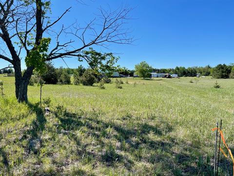 442 Alexander Rd, Vanderbilt, MI 49795 photo 70