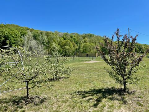 442 Alexander Rd, Vanderbilt, MI 49795 photo 58