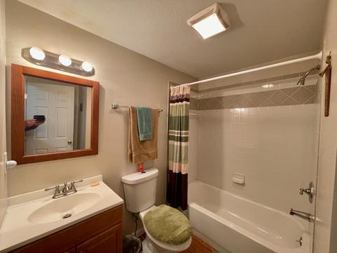 442 Alexander Rd, Vanderbilt, MI 49795 photo 13