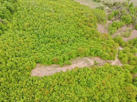 442 Alexander Rd, Vanderbilt, MI 49795 photo 64