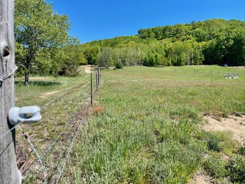 442 Alexander Rd, Vanderbilt, MI 49795 photo 59