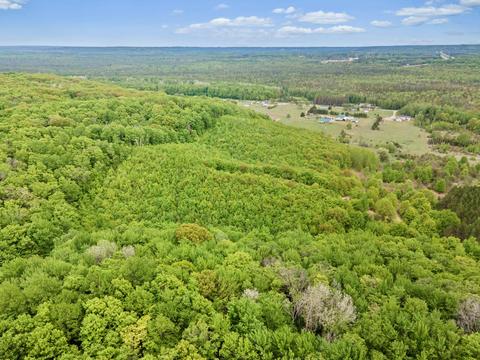 442 Alexander Rd, Vanderbilt, MI 49795 photo 61