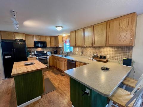 442 Alexander Rd, Vanderbilt, MI 49795 photo 3