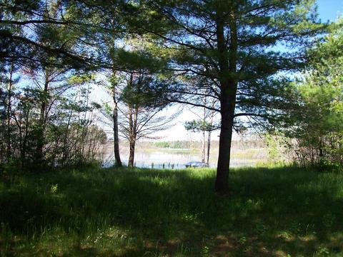 2410 Fox Dr, Lewiston, MI 49756 photo 4