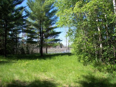 2410 Fox Dr, Lewiston, MI 49756 photo 3