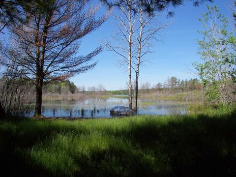 2410 Fox Dr, Lewiston, MI 49756 photo 1