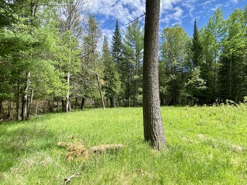 1566 Meander Road Grayling Mi 49738 Rd, Grayling, MI 49738 photo 65