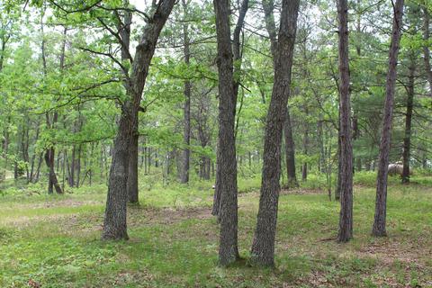 5359 Whipporwill Lane Grayling Mi 49738 Ln, Grayling, MI 49738 photo 20