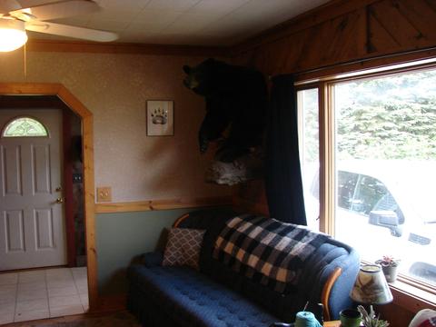 6423 E Dotski Rd, Cheboygan, MI 49721 photo 10