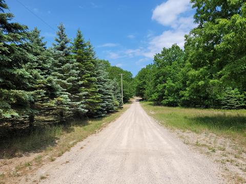 5822 E Numbers Rd, Topinabee, MI 49791 photo 3