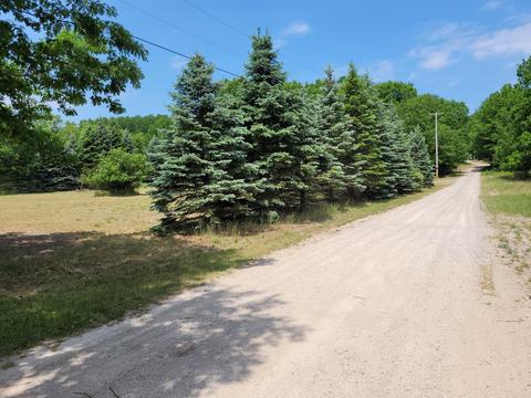 5822 E Numbers Rd, Topinabee, MI 49791 photo 51