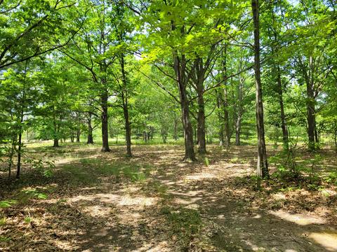5822 E Numbers Rd, Topinabee, MI 49791 photo 31