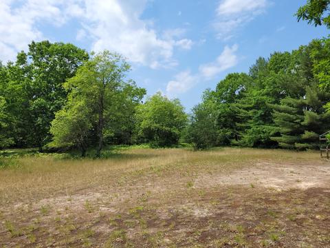 5822 E Numbers Rd, Topinabee, MI 49791 photo 34