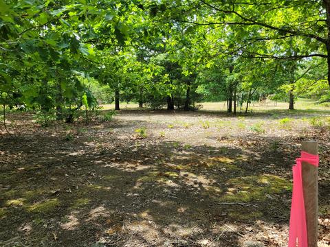 5822 E Numbers Rd, Topinabee, MI 49791 photo 32