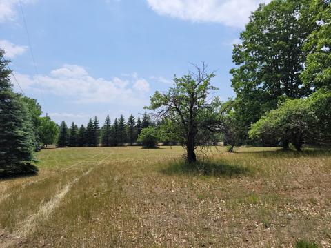 5822 E Numbers Rd, Topinabee, MI 49791 photo 46