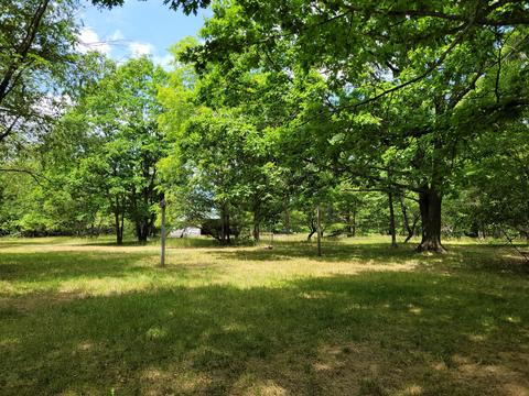 5822 E Numbers Rd, Topinabee, MI 49791 photo 29