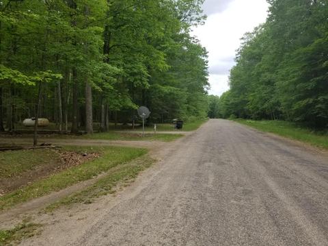 11279 Sherwood Dr, Frederic, MI 49733 photo 25