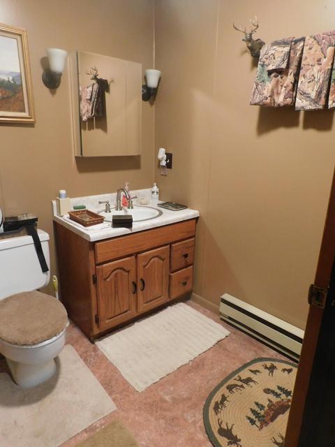 1680 S Mt Tom Rd, Mio, MI 48647 photo 25