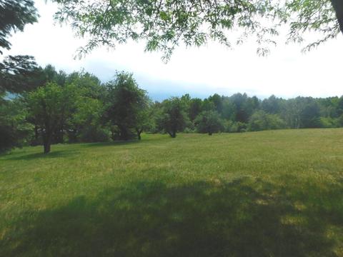 1680 S Mt Tom Rd, Mio, MI 48647 photo 33