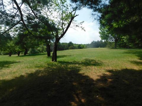 1680 S Mt Tom Rd, Mio, MI 48647 photo 34