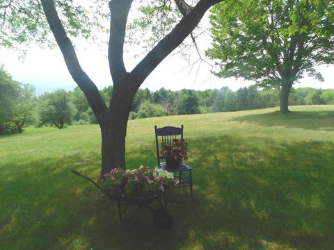 1680 S Mt Tom Rd, Mio, MI 48647 photo 32