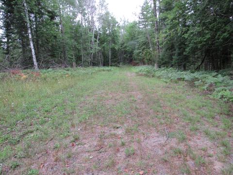 4549 Wilderness Trl, Grayling, MI 49738 photo 9