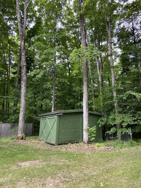 400 Forest View Street Vanderbilt Mi 49795 St, Vanderbilt, MI 49795 photo 23