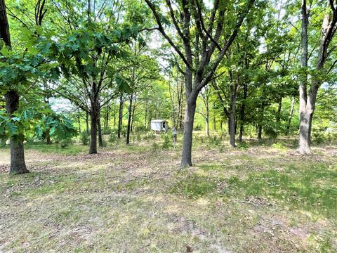 8971 E 12 Rd, Manton, MI 49663 photo 39
