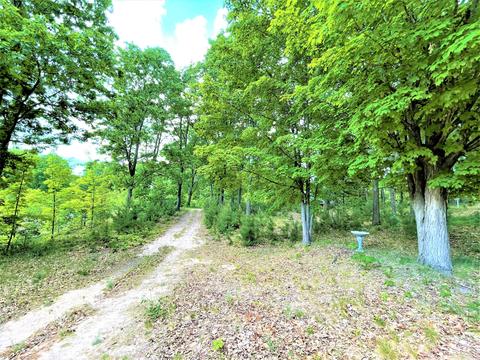 8971 E 12 Rd, Manton, MI 49663 photo 36