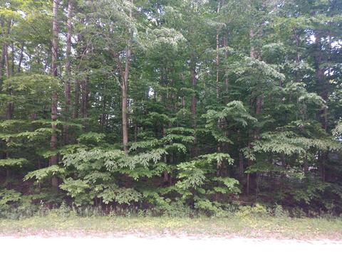 14613 Ashbrook Ave, Wolverine, MI 49799 photo 5