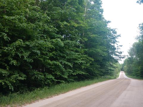 14613 Ashbrook Ave, Wolverine, MI 49799 photo 1