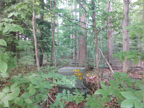 14613 Ashbrook Ave, Wolverine, MI 49799 photo 7
