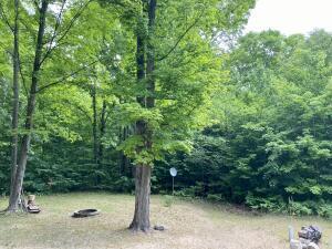 5686 N Donnybrook, Frederic, MI 49733 photo 23