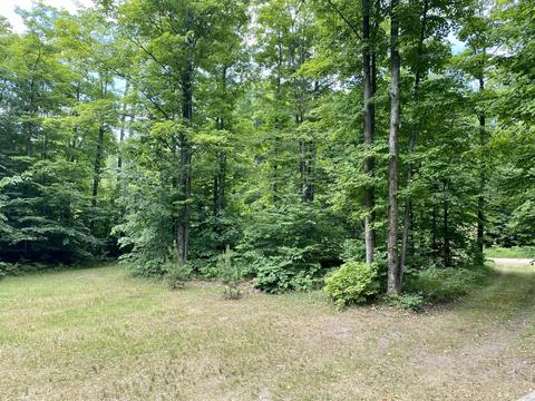 5686 N Donnybrook, Frederic, MI 49733 photo 22