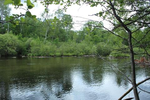 8564 Twin Bridge Rd, Grayling, MI 49738 photo 24