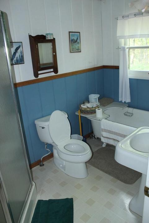 8564 Twin Bridge Rd, Grayling, MI 49738 photo 7