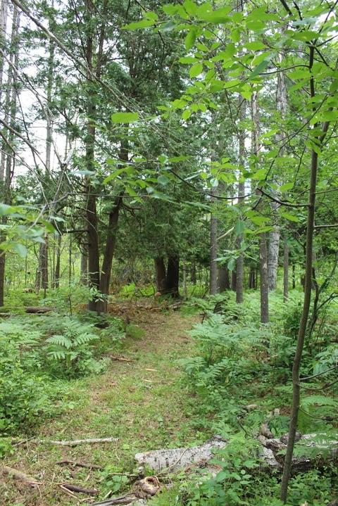 8564 Twin Bridge Rd, Grayling, MI 49738 photo 25