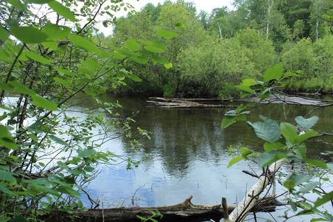 8564 Twin Bridge Rd, Grayling, MI 49738 photo 3