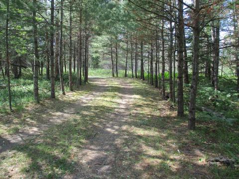 10340 Island Street Grayling Mi 49738 St, Grayling, MI 49738 photo 28