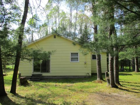 10340 Island Street Grayling Mi 49738 St, Grayling, MI 49738 photo 22