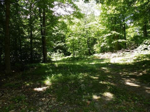 5938 N Donnybrook, Frederic, MI 49733 photo 37