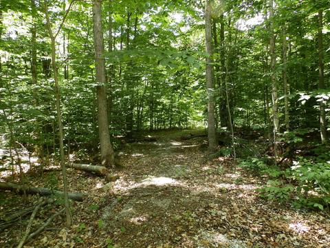5938 N Donnybrook, Frederic, MI 49733 photo 35