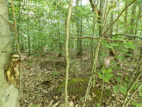 5938 N Donnybrook, Frederic, MI 49733 photo 29