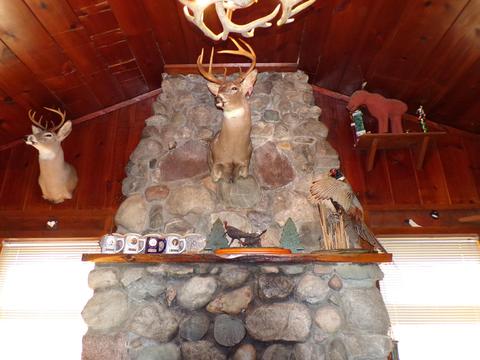 3989 Park Rd, Luzerne, MI 48636 photo 7