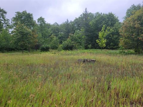 6900 Wolverine Road Wolverine Mi 49799 Rd, Wolverine, MI 49799 photo 2