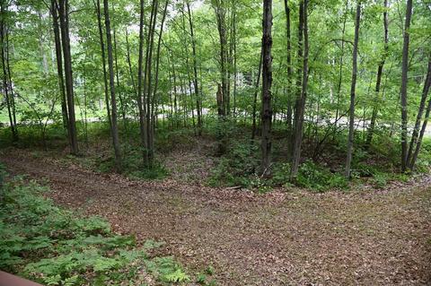 211 Glenhurst Dr, Roscommon, MI 48653 photo 23